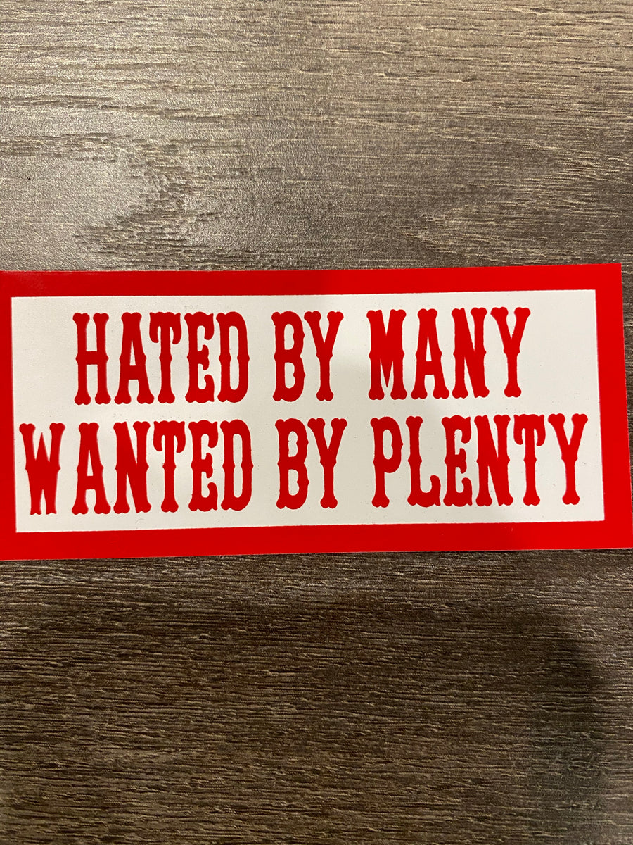 Hated By Many sticker #35